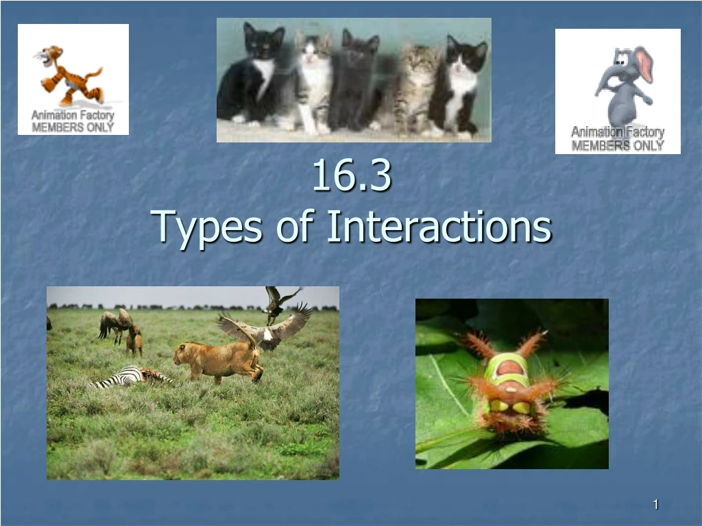 16 3 types of interactions