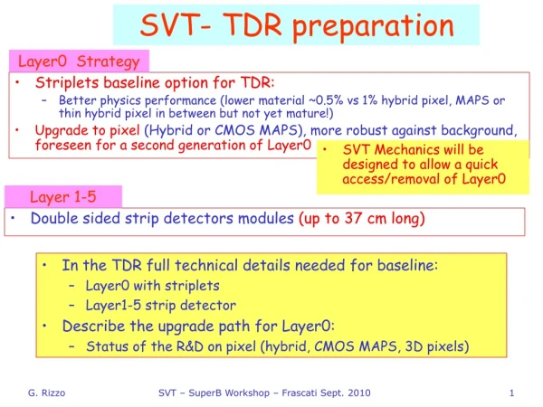 SVT- TDR preparation