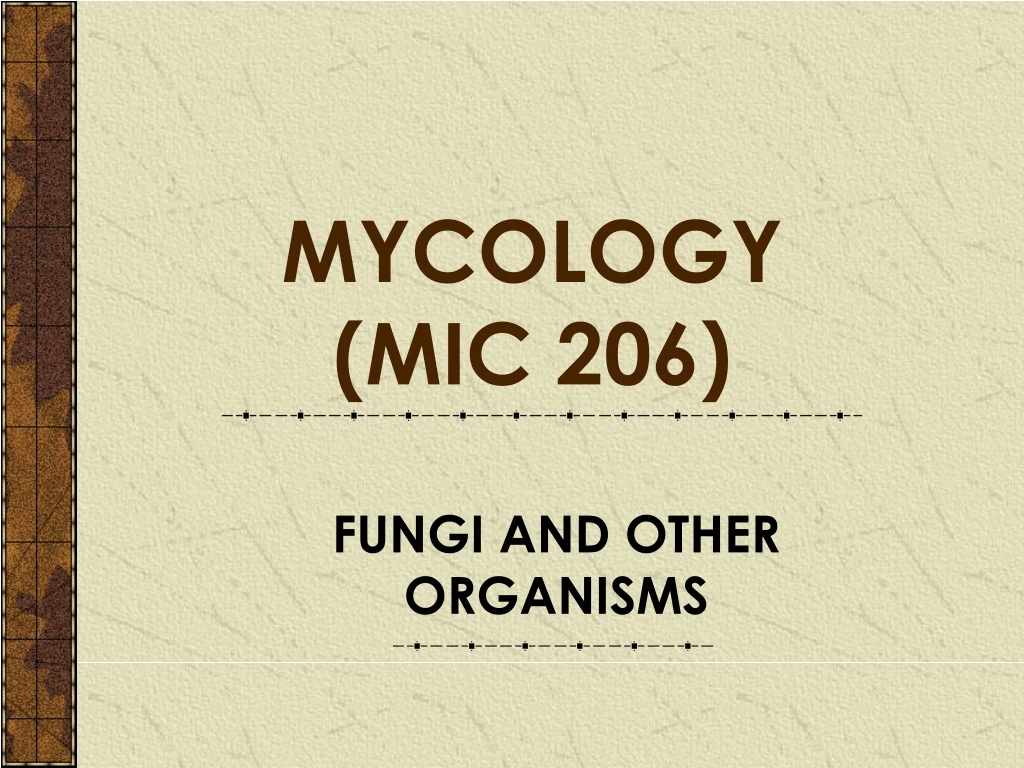 fungi and other organisms