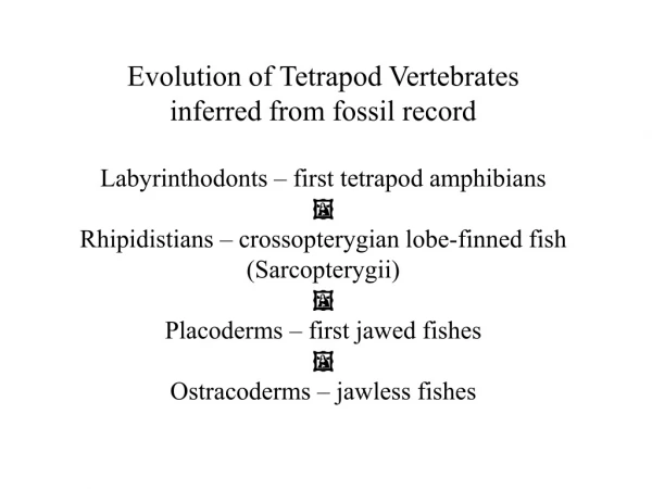 Evolution of Tetrapod Vertebrates  inferred from fossil record