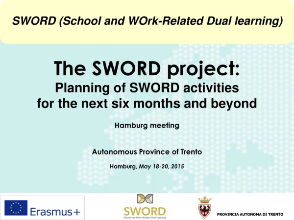 The SWORD project:  Planning of SWORD activities  for the next six months  and beyond