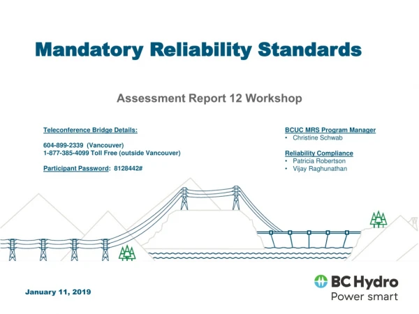 Mandatory  Reliability  Standards