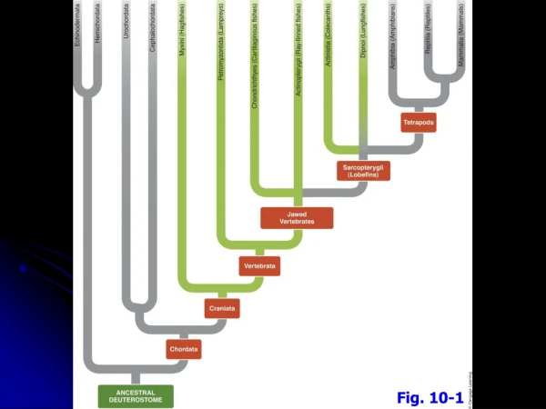 Fig. 10-1