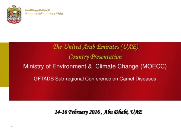 The United Arab Emirates (UAE) Country Presentation