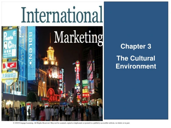 Chapter 3 The Cultural  Environment