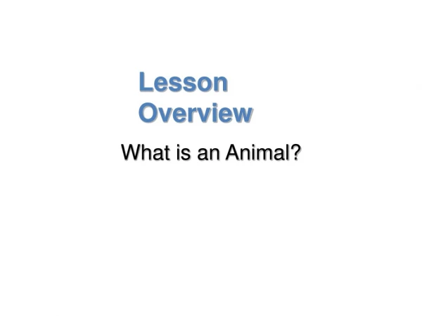 Lesson Overview