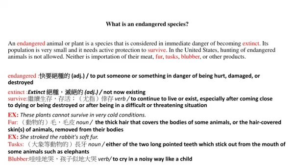 What is an endangered species?