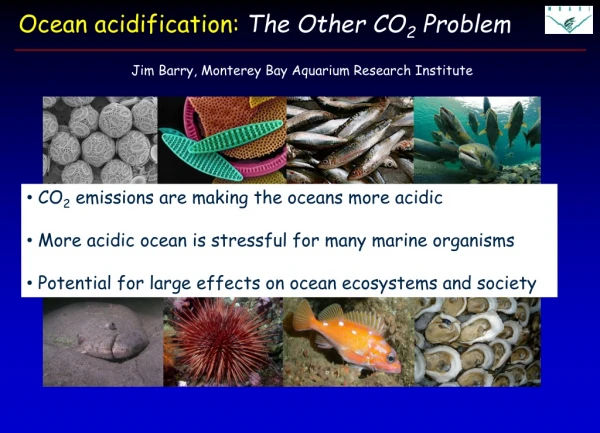 Ocean acidification:  The Other CO 2  Problem
