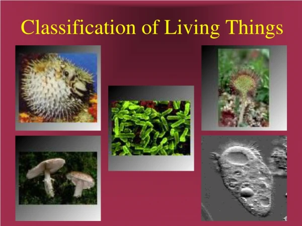 Classification of Living Things