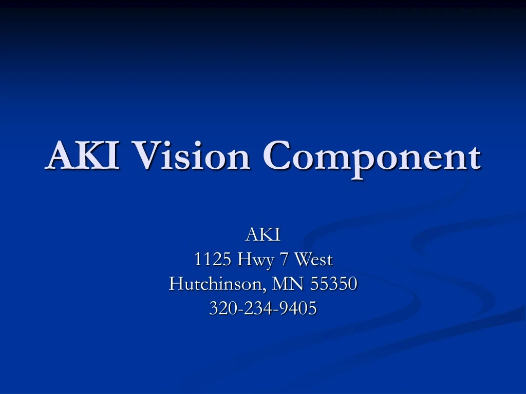 aki vision component