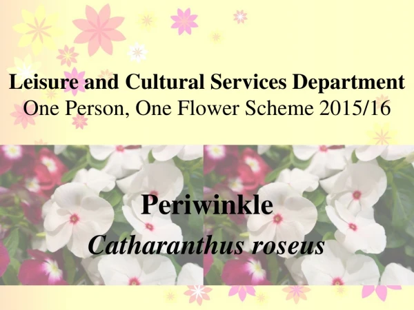 Leisure and Cultural Services Department One Person, One Flower Scheme  2015/16