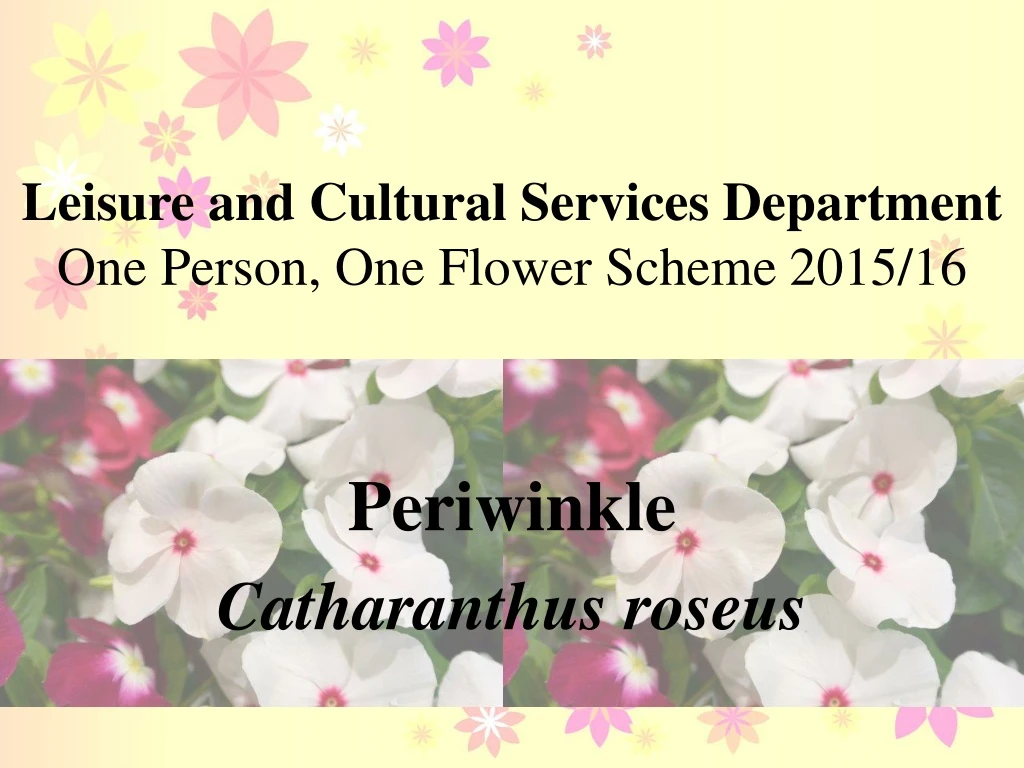 leisure and cultural services department one person one flower scheme 2015 16