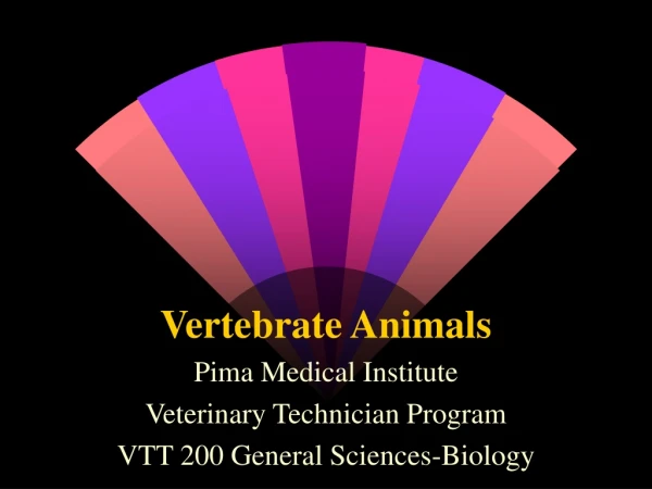 Vertebrate Animals