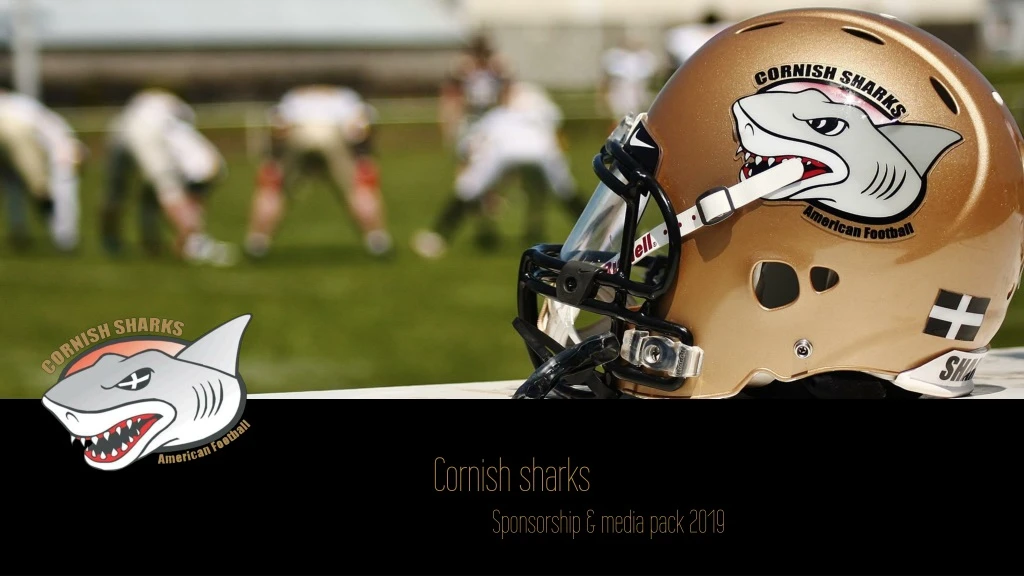 meet the cornish sharks academy