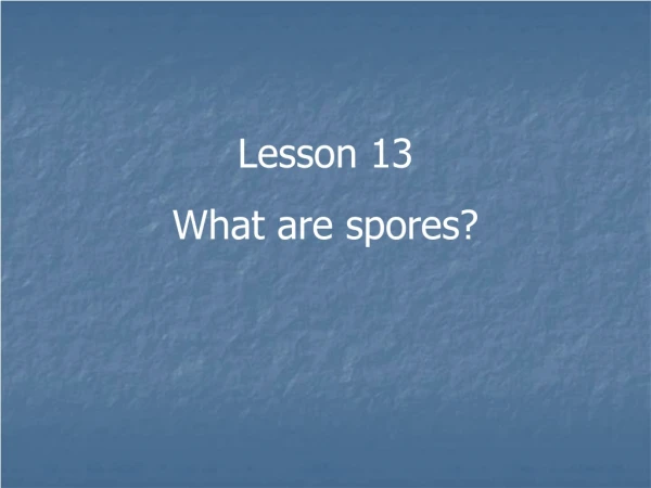 Lesson 13 What are spores?