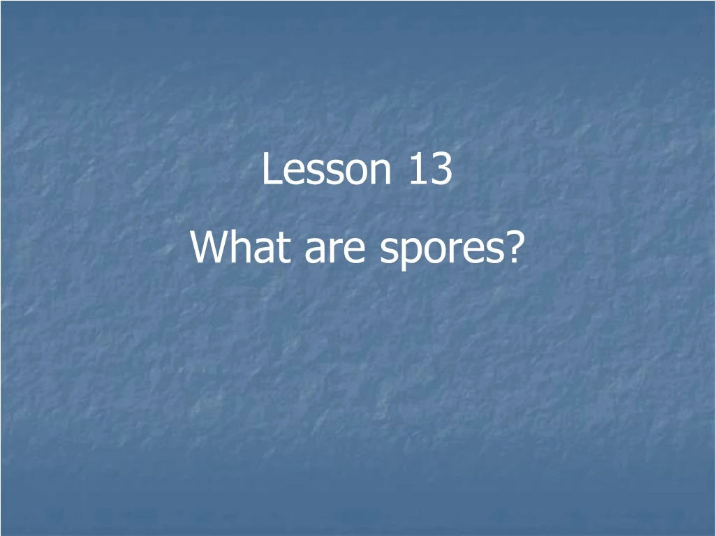 lesson 13 what are spores