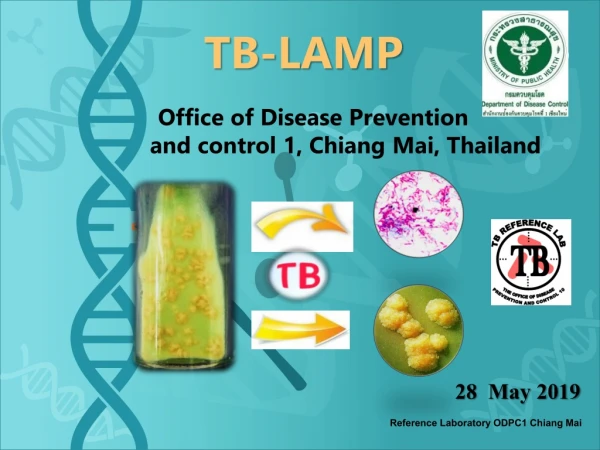 TB-LAMP    Office  of Disease Prevention  and control 1, Chiang  Mai, Thailand