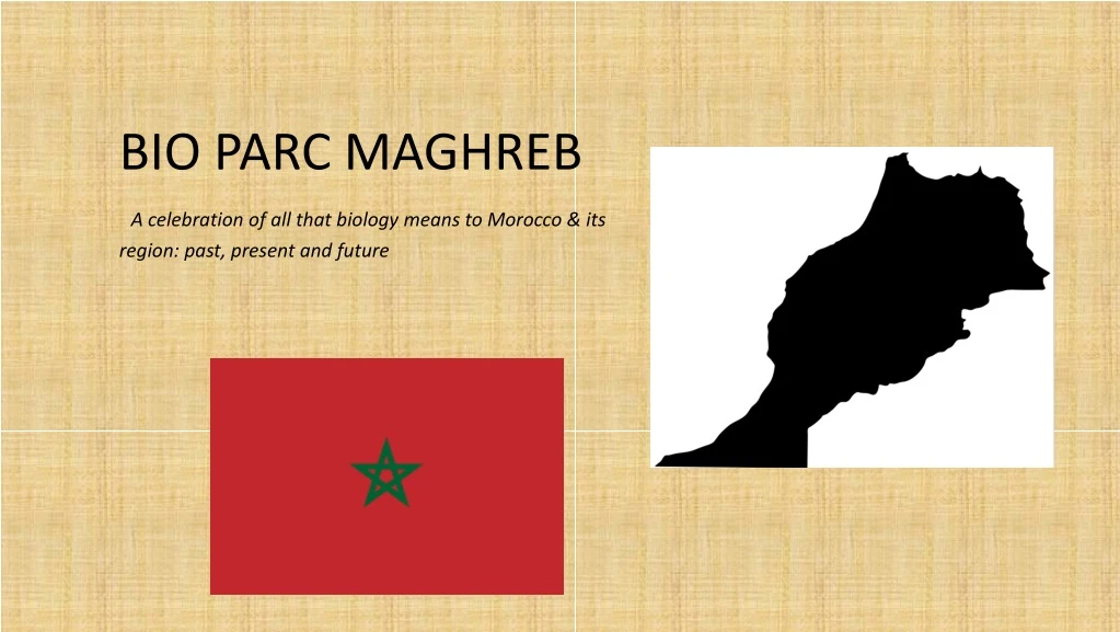 bio parc maghreb a celebration of all that