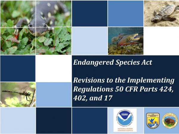 Endangered  Species Act  Revisions  to the  Implementing Regulations 50 CFR Parts 424, 402, and 17
