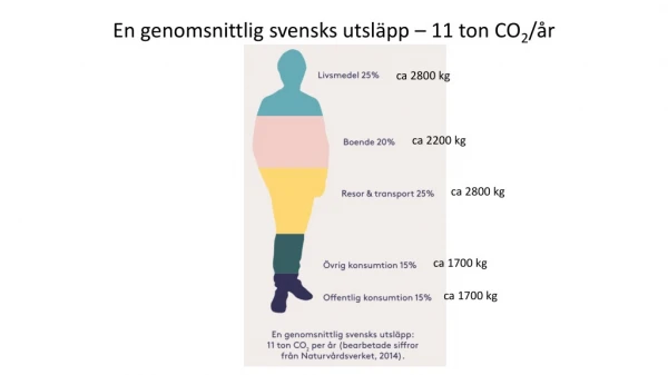 ca 2800 kg