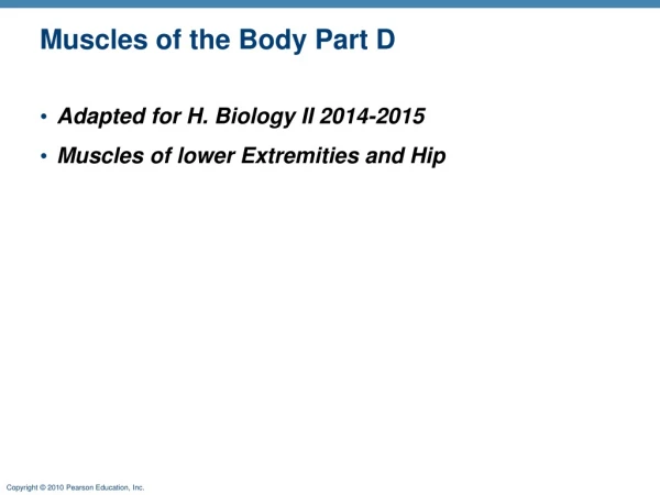 Muscles of the Body Part D