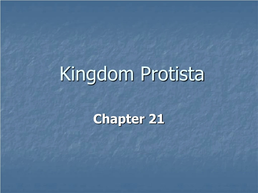 kingdom protista