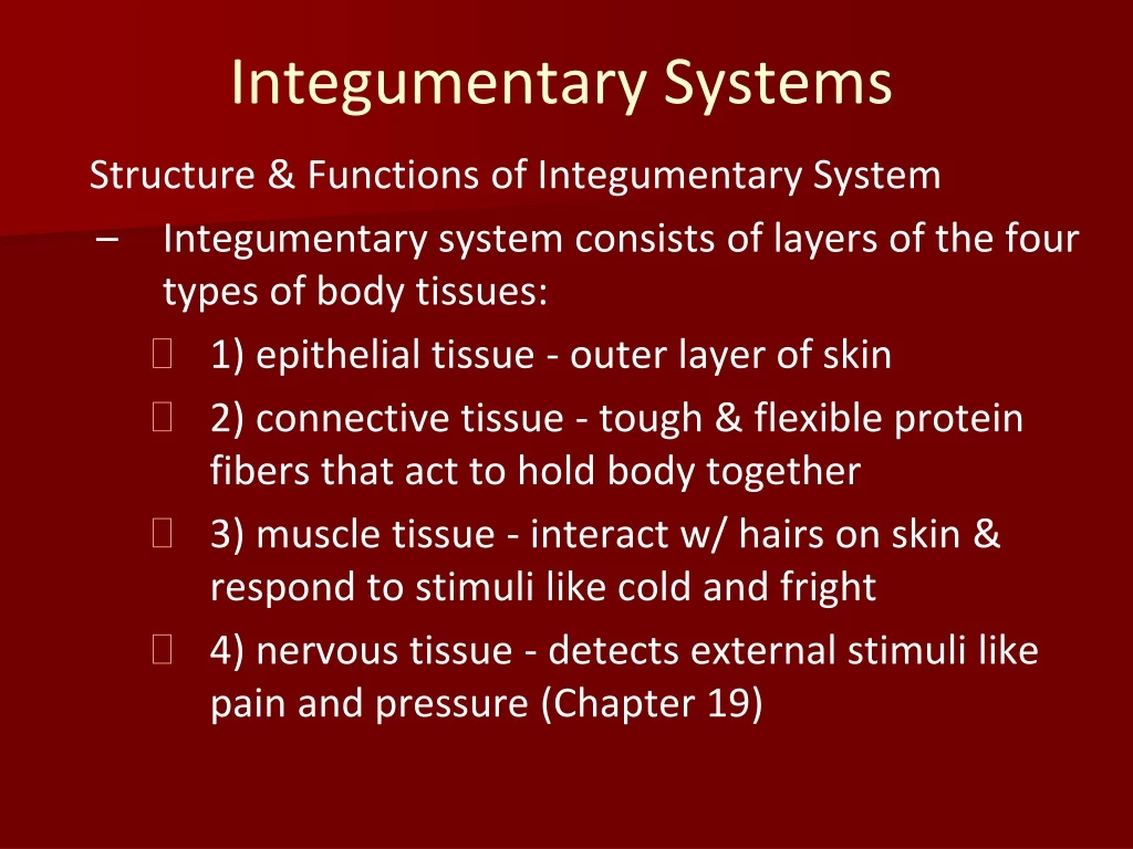 integumentary systems