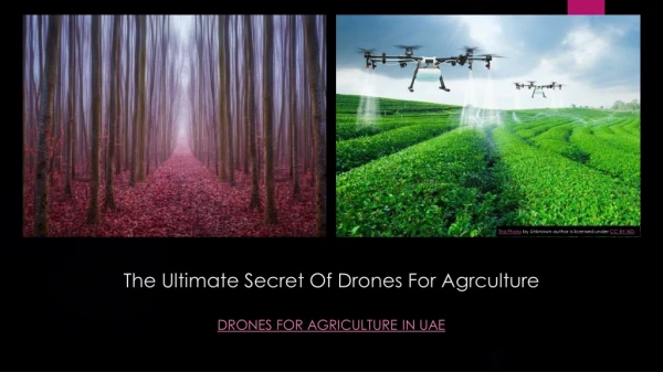 Hire A Drone Pilot - Aerial Filming Dubai -Drones for Agriculture