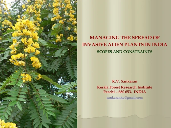 MANAGING THE SPREAD OF INVASIVE ALIEN PLANTS IN INDIA SCOPES AND CONSTRAINTS K.V.  Sankaran