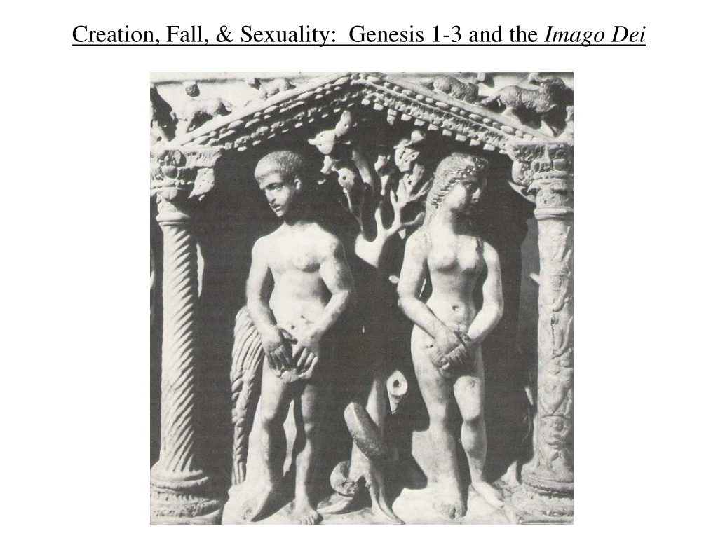 creation fall sexuality genesis 1 3 and the imago