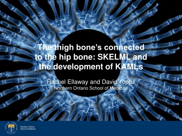 The thigh bone’s connected to the hip bone: SKELML and the development of KAMLs