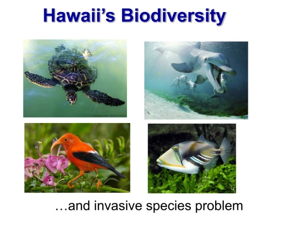 Hawaii’s Biodiversity