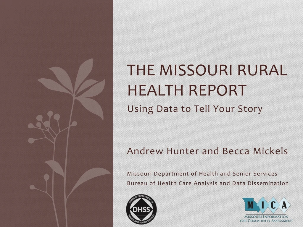 the missouri rural health report