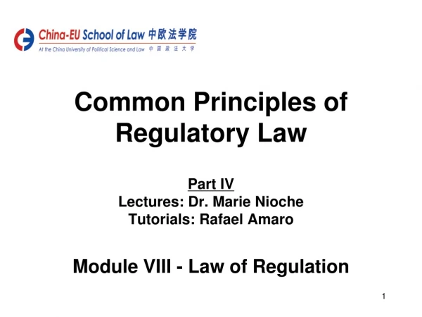 Common Principles of Regulatory Law