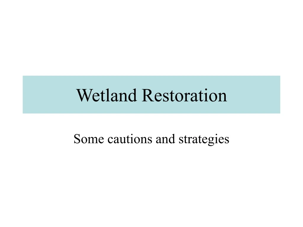 wetland restoration