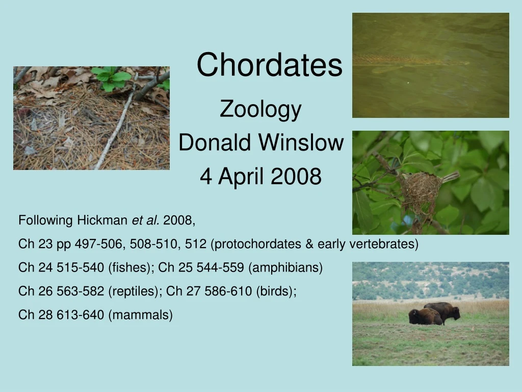 zoology donald winslow 4 april 2008