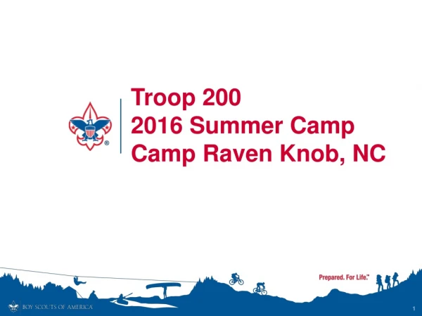 Troop 200  2016 Summer Camp Camp Raven Knob, NC