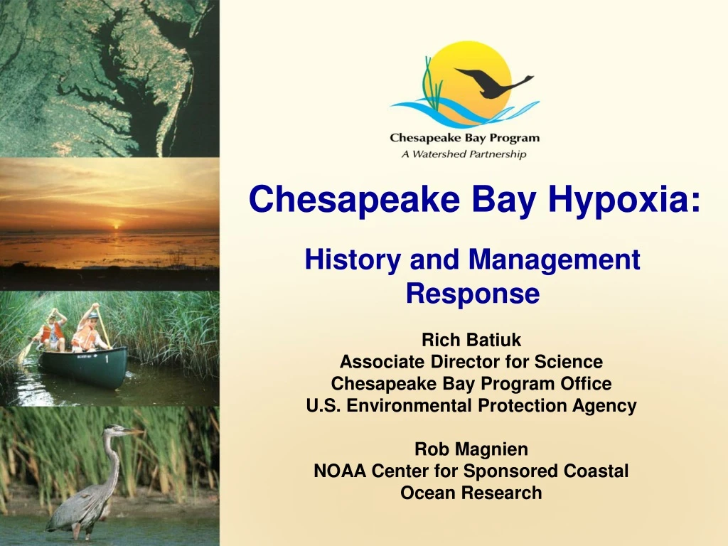 chesapeake bay hypoxia
