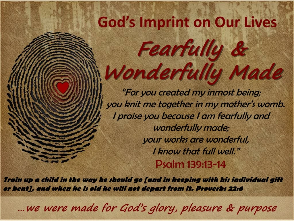 god s imprint on our lives