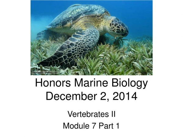 Honors Marine Biology December 2, 2014