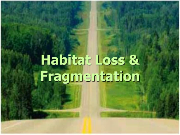 Habitat Loss &amp; Fragmentation