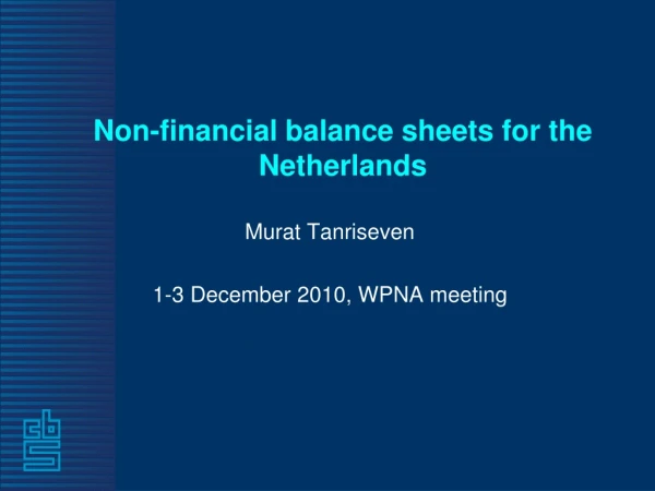 Non-financial balance sheets for the Netherlands