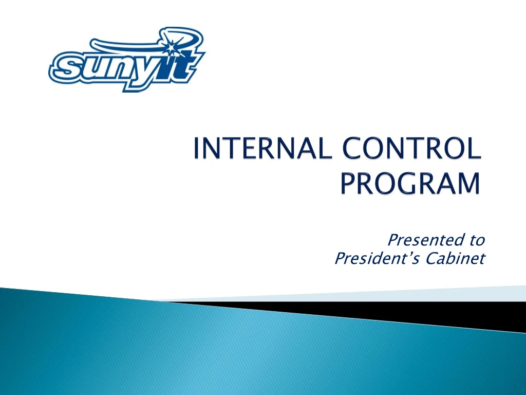 internal control program