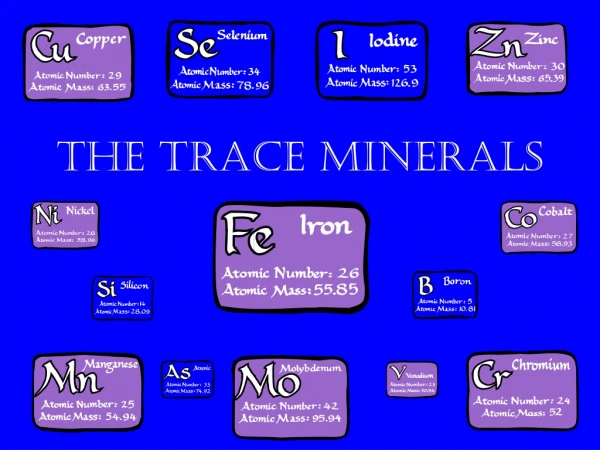 The Trace Minerals