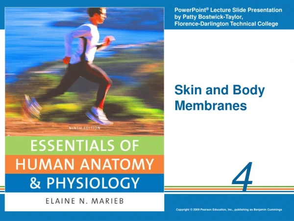 Skin and Body Membranes