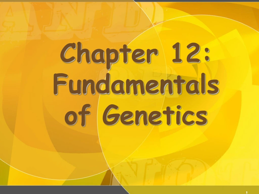 chapter 12 fundamentals of genetics