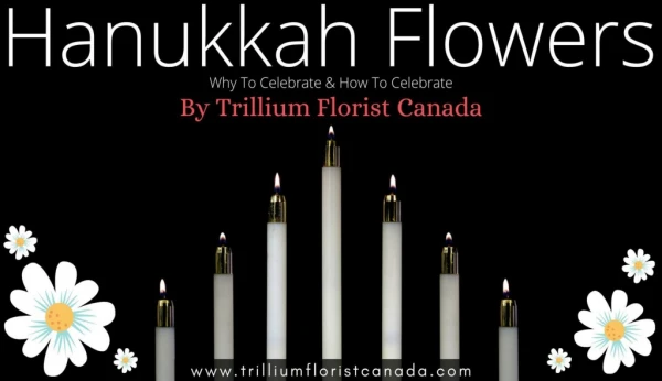 Hanukkah Flowers - Why and How to Celebrate