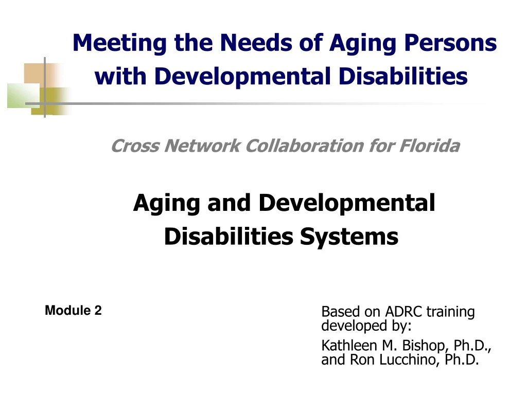 meeting the needs of aging persons with