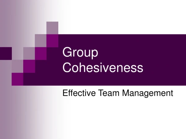 Group Cohesiveness