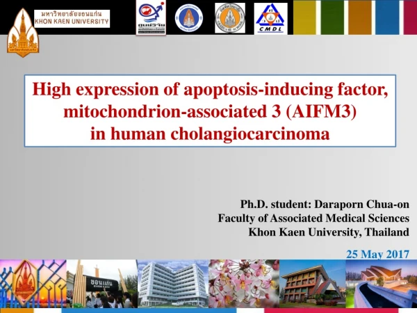 High expression of apoptosis-inducing factor, mitochondrion-associated 3 (AIFM3)